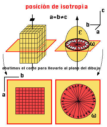 Qué es un material Isotrópico, Anisotrópico y Ortotrópico