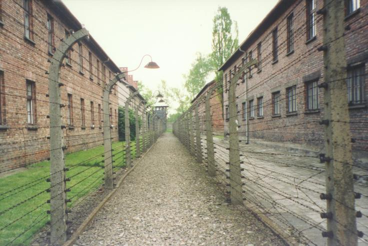 'Formas de matar en los campos de concentración'