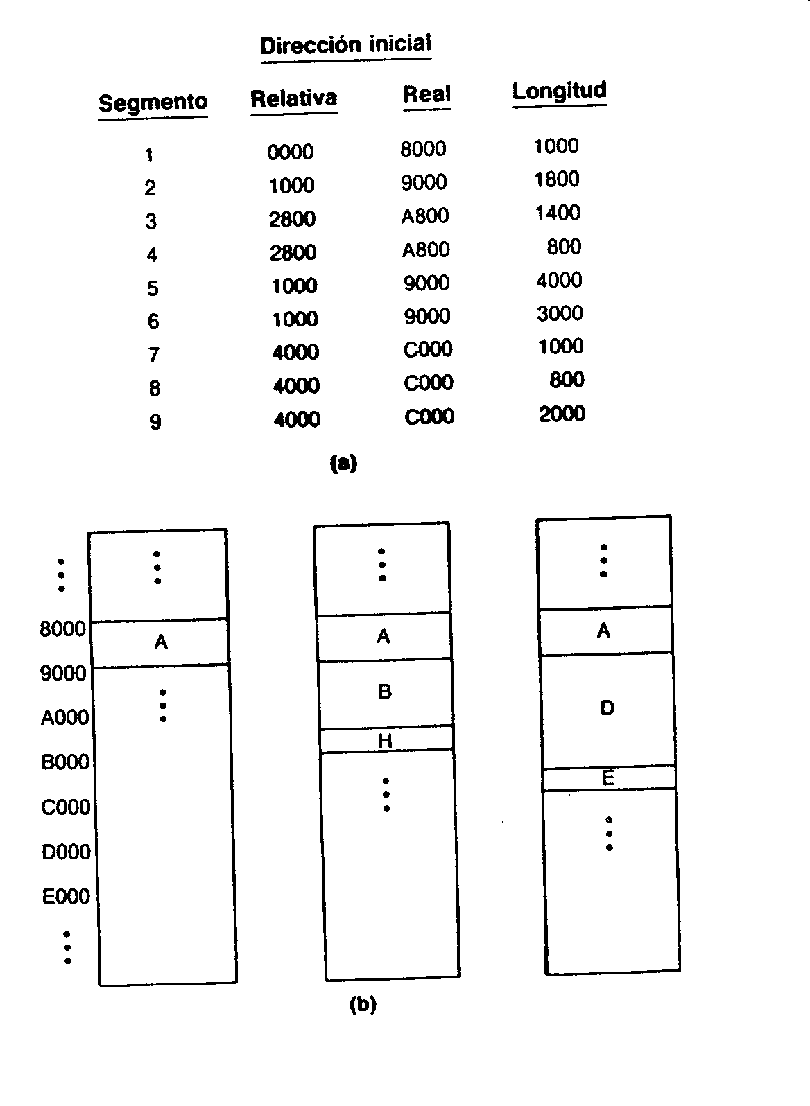 0x08 graphic