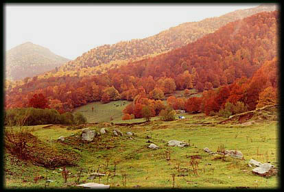 'Geografía de Asturias'