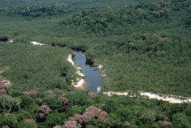 'Amazonas'