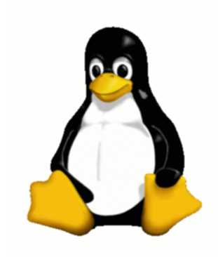 'Linux'