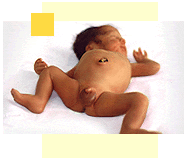 'Anatomía del recién nacido'