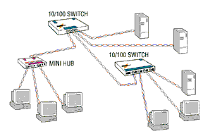 'Hubs y Switches'